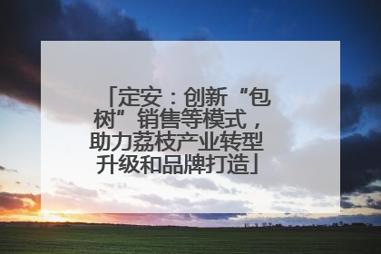 定安：创新“包树”销售等模式，助力荔枝产业转型升级和品牌打造