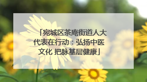 宛城区茶庵街道人大代表在行动：弘扬中医文化 把脉基层健康