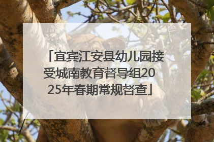 宜宾江安县幼儿园接受城南教育督导组2025年春期常规督查