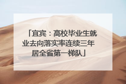 宜宾：高校毕业生就业去向落实率连续三年居全省第一梯队