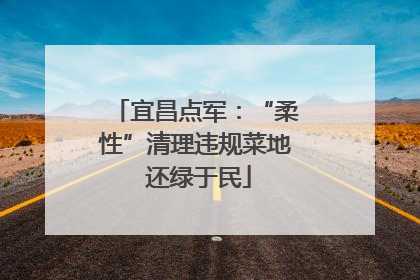 宜昌点军：“柔性”清理违规菜地 还绿于民