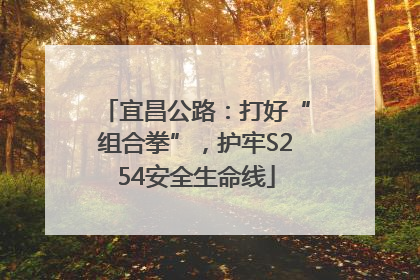 宜昌公路：打好“组合拳”，护牢S254安全生命线