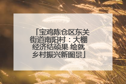 宝鸡陈仓区东关街道南阳村：大棚经济结硕果 绘就乡村振兴新图景