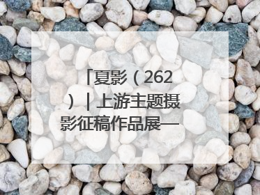 夏影（262）｜上游主题摄影征稿作品展——黄红专作品