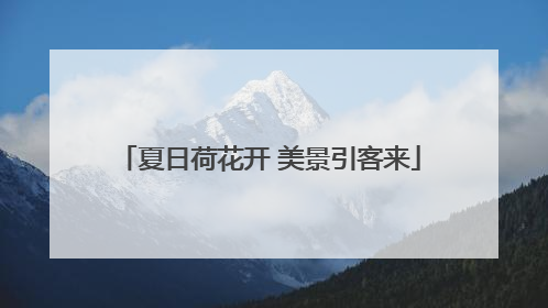 夏日荷花开 美景引客来