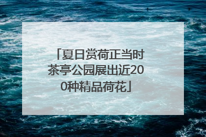 夏日赏荷正当时 茶亭公园展出近200种精品荷花