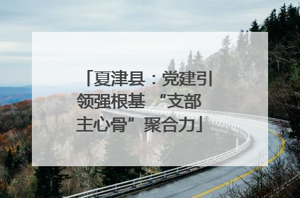 夏津县：党建引领强根基 “支部主心骨”聚合力