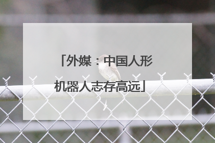 外媒：中国人形机器人志存高远