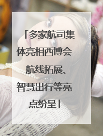 多家航司集体亮相西博会 航线拓展、智慧出行等亮点纷呈