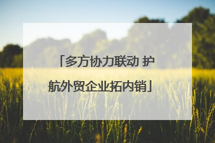 多方协力联动 护航外贸企业拓内销