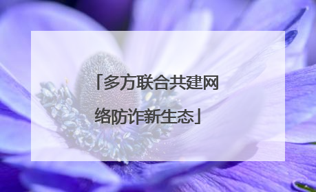 多方联合共建网络防诈新生态