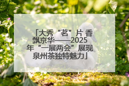 大秀“茗”片 香飘京华——2025年“一展两会”展现泉州茶独特魅力