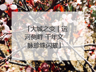 大城之变｜运河侧畔 千年文脉珍珠闪耀