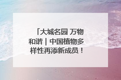 大城名园 万物和谐｜中国植物多样性再添新成员！它只在西藏墨脱