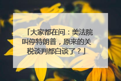 大家都在问：美法院叫停特朗普，原来的关税谈判都白谈了？