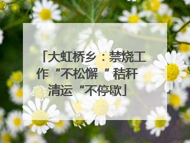 大虹桥乡：禁烧工作“不松懈“ 秸秆清运“不停歇