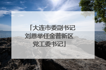 大连市委副书记刘恩举任金普新区党工委书记