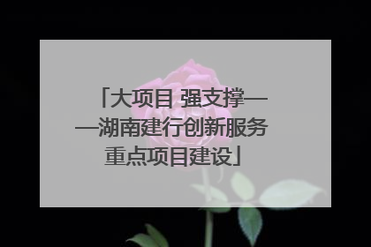 大项目 强支撑——湖南建行创新服务重点项目建设