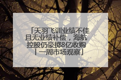 天羽飞训业绩不佳且无业绩补偿，海航控股仍豪掷8亿收购丨一周市场观察