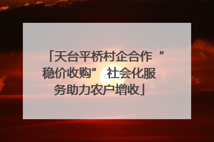 天台平桥村企合作“稳价收购” 社会化服务助力农户增收