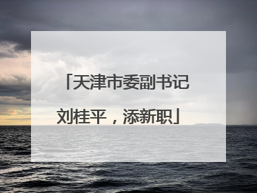 天津市委副书记刘桂平，添新职