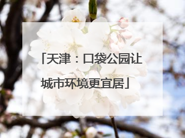 天津：口袋公园让城市环境更宜居