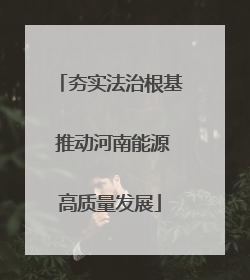 夯实法治根基 推动河南能源高质量发展
