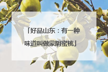 好品山东：有一种味道叫做蒙阴蜜桃