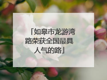 如皋市龙游湾路荣获全国最具人气的路