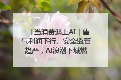 当消费遇上AI｜售气利润下行、安全监管趋严，AI浪潮下城燃企业如何破局