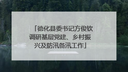 德化县委书记方俊钦调研基层党建、乡村振兴及防汛备汛工作