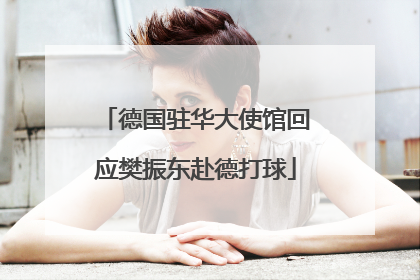德国驻华大使馆回应樊振东赴德打球