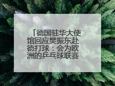 德国驻华大使馆回应樊振东赴德打球：会为欧洲的乒乓球联赛带来新的光彩