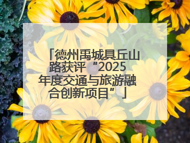 德州禹城具丘山路获评“2025年度交通与旅游融合创新项目”