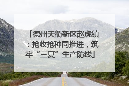 德州天衢新区赵虎镇：抢收抢种同推进，筑牢“三夏”生产防线