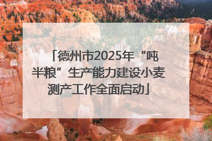 德州市2025年“吨半粮”生产能力建设小麦测产工作全面启动