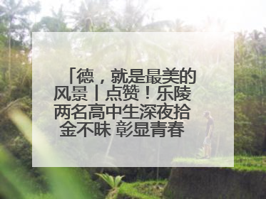 德，就是最美的风景丨点赞！乐陵两名高中生深夜拾金不昧 彰显青春正能量