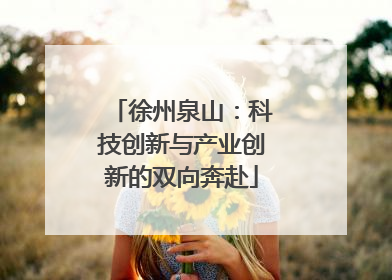 徐州泉山：科技创新与产业创新的双向奔赴