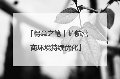 得意之笔丨护航营商环境持续优化