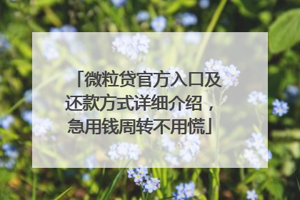 微粒贷官方入口及还款方式详细介绍，急用钱周转不用慌
