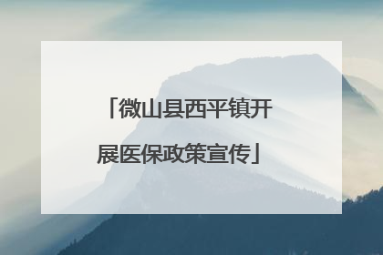 微山县西平镇开展医保政策宣传