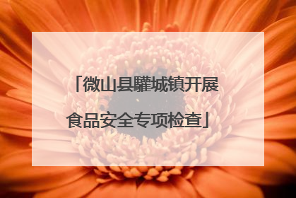 微山县驩城镇开展食品安全专项检查