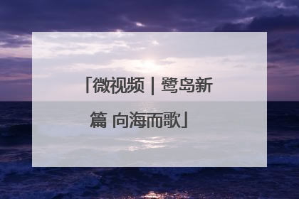 微视频｜鹭岛新篇 向海而歌