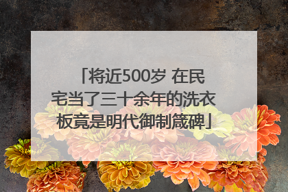 将近500岁 在民宅当了三十余年的洗衣板竟是明代御制箴碑