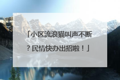 小区流浪猫叫声不断？民情快办出招啦！