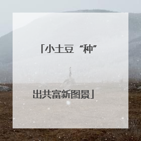 小土豆“种”出共富新图景