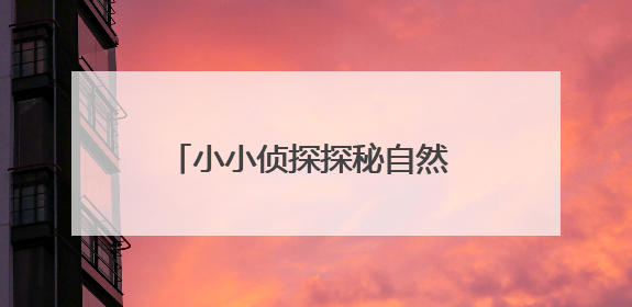 小小侦探探秘自然 端午文化焕发新光