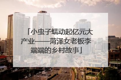小虫子蠕动起亿元大产业——菏泽女老板李端端的乡村故事