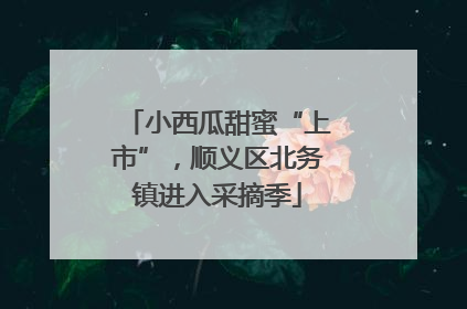 小西瓜甜蜜“上市”，顺义区北务镇进入采摘季
