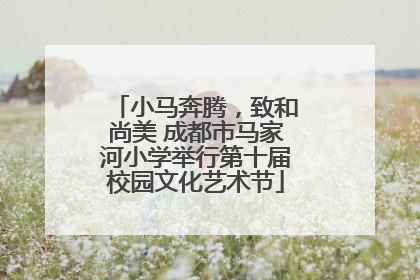 小马奔腾，致和尚美 成都市马家河小学举行第十届校园文化艺术节